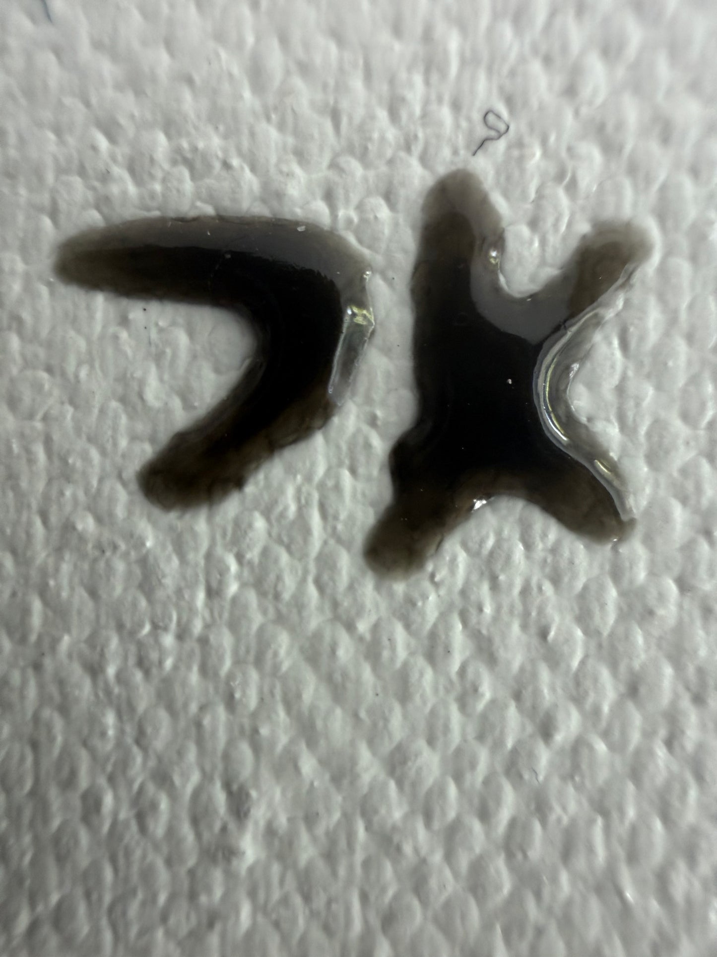 潮息 - Toile Shioiki - Souffle des marées - 61cm x 50cm